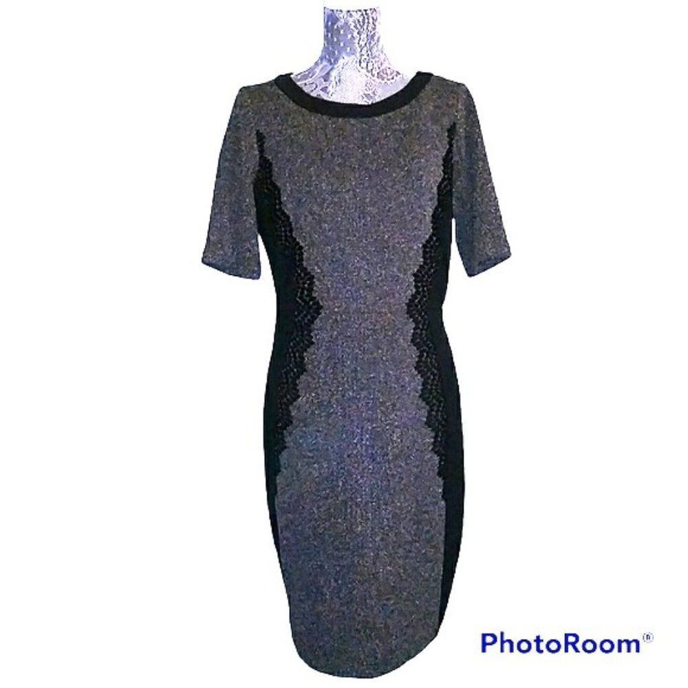 Danny and Nicole Great Fall Dress, Size Large